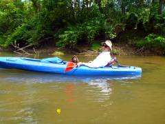 Kayaking The Little Tennessee